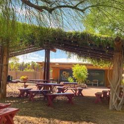 Restaurants Morning Glory Cafe in Phoenix AZ